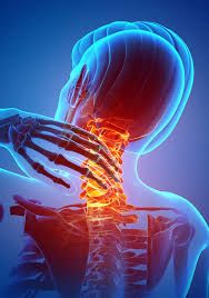 VADBA ZA ZDRAVO HRBTENICO 