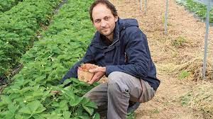 Oživljanje in razvoj rodovitnosti tal v biološko-dinamičnem kmetijstvu