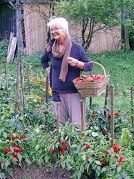 ČLOVEK PO UČENJU ANTROPOZOFIJE -  Od kod, kako in kam.