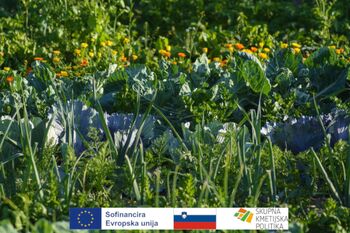 BIODINAMIKA, KAJ JE TO?