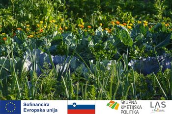 BIODINAMIKA, KAJ JE TO?