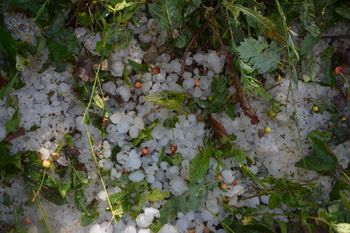 Popis škode na stvareh zaradi močnih neurij z večdnevnim obilnim dežjem na širšem območju Republike Slovenije 