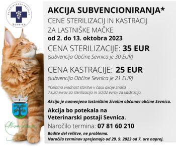 Akcija sterilizacije in kastracije lastniških mačk 