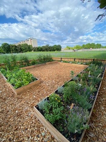 Otvoritev skupnostnega vrta