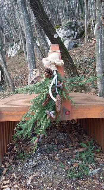 Urnik poslovanja občinske uprave 31. decembra 2019