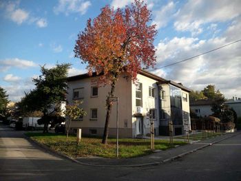 VABILO NA 10 URNO USPOSABLJANJE NA TEMO     PRAKTIČNA UPORABA IN OPTIMIZACIJA DIGITALNEGA MARKETINGA V PODJETJU S CILJEM POVEČANJA DOSEGA IN PRODAJE