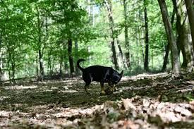 SPOROČILO ZA JAVNOST - Omejitev gibanja - kaj lahko počnemo in česa ne?