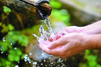 Odziv na pobudo civilne družbe (Inštituta 8. marec)