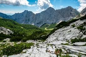 Podaj idejo - mi posnamemo video - 1 minuta za         podnebno odpornost