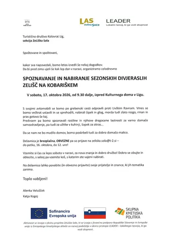 SPOZNAVANJE IN NABIRANJE SEZONSKIH DIVJERASLIH ZELIŠČ NA KOBARIŠKEM SPOZNAVANJE IN NABIRANJE SEZONSKIH DIVJERASLIH ZELIŠČ NA KOBARIŠKEM