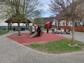 Zemlja ne pripada človeku, ampak človek pripada Zemlji.