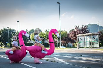 Par plešočih flamingov prinesel veselje in dobro voljo na Polzelo