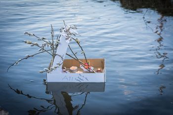 Spuščanje gregorčkov po strugi