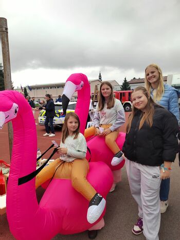 Harmonija generacij in Društvo Dobra ideja