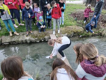 Spuščanje gregorčkov v Vrtni ulici