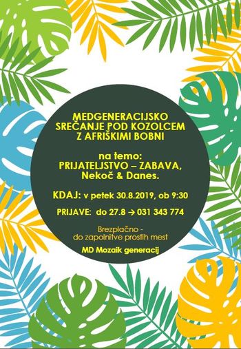 Medgeneracijsko druženje