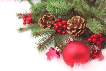     Z epidemijo zaznamovano leto         