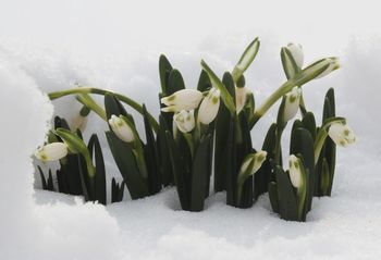 Novo obdobje, nove priložnosti