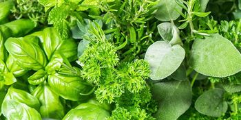 Delavnica  DO ZDRAVJA Z NARAVO