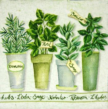 Delavnica do zdravja z naravo