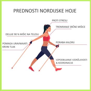 NORDIJSKA HOJA
