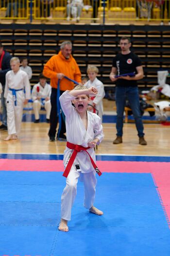 Odlični nastop mladih karateistov na pustno soboto