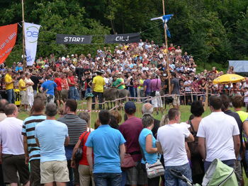 Muši so ponovno dirkali