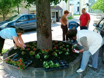 Spomladanska ureditev okolice KS Nova Cerkev, pod okriljem članov TD Nova Cerkev