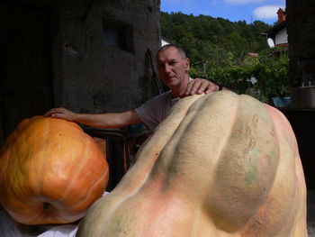 Pri Čargovih v Ložicah zrasle buče velikanke