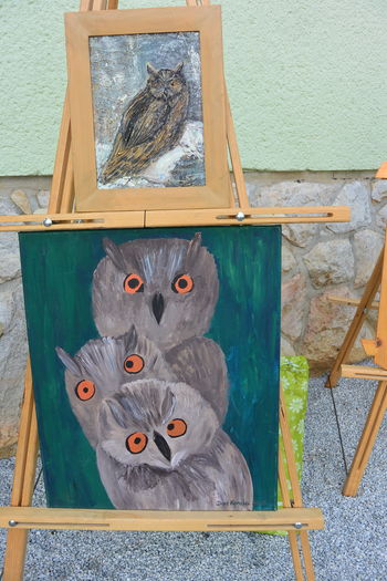 Ples seniorjev v KDS - POSLOVNA ENOTA SLOVENJ GRADEC