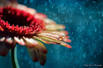 Center za socialno delo obvešča glede zamude Center za socialno delo obvešča glede zamude