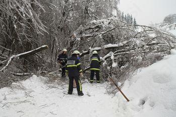 Žled povzročal škodo tudi v naši občini Žled povzročal škodo tudi v naši občini
