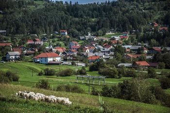 Javni razpis za sofinanciranje dejavnosti društev in zveze na področju turizma za leto 2014 Javni razpis za sofinanciranje dejavnosti društev in zveze na področju turizma za leto 2014