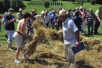 13. tekmovanje v žetvi na Kitnem Vrhu 13. tekmovanje v žetvi na Kitnem Vrhu