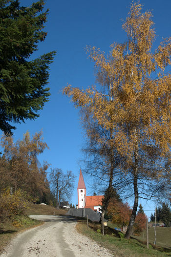 POHOD NA PERNICE POHOD NA PERNICE