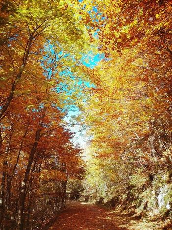 Starost ima lahko več obrazov
