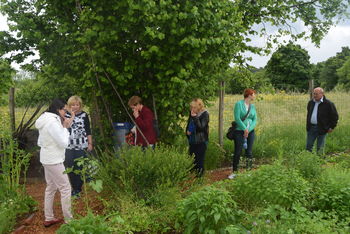 Zelišča – priložnost za razvoj podeželja