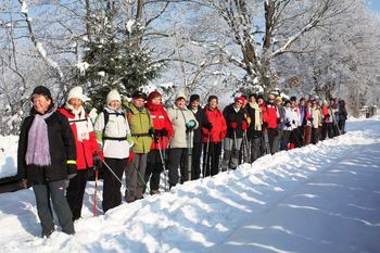 Zimzelenčki iz Bevk na Drenov Grič in na Vrhniko
