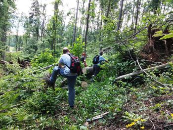Markacisti PD Vrhnika so pregledali in očistili pot E7 od Verda do Bistre