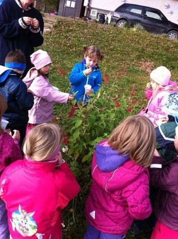 Letovanje otrok iz vrtca Danijelov levček