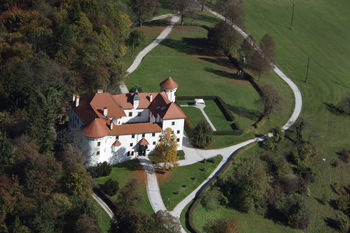 Grajska zeliščarska delavnica: SPREHOD PO CVETOČEM TRAVNIKU