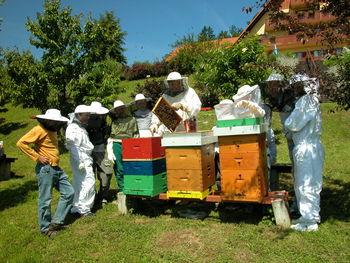 Slovenci gojimo čebelarsko tradicijo