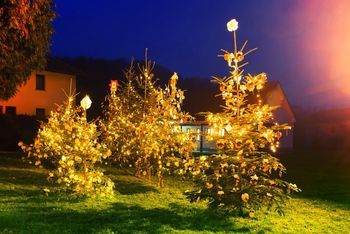 Božični Vojnik vabi