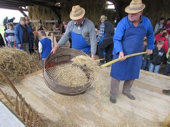Pika poka pika pok: žetev in mlačev