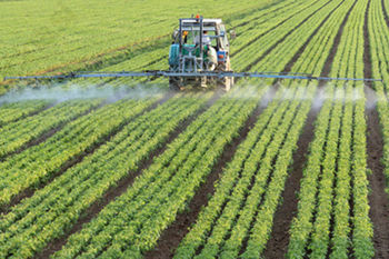 Srečanje kmetijskih pridelovalcev v okviru projekta Samooskrba regije