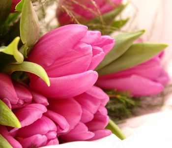 Obiski starejših krajanov v KS Frankolovo