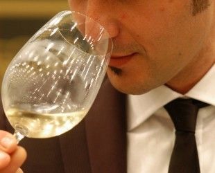 Predstavitev najbolje ocenjenih vin