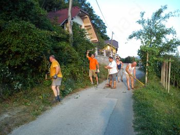 Delovna akcija v Lubancu