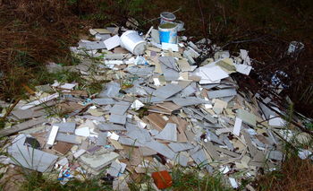 Iz kopalnice v osrčje pragozda