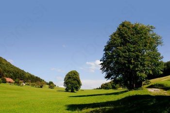 Projekti za izgradnjo potrebnih širokopasovnih omrežij na področjih tako imenovanih sivih lis Projekti za izgradnjo potrebnih širokopasovnih omrežij na področjih tako imenovanih sivih lis